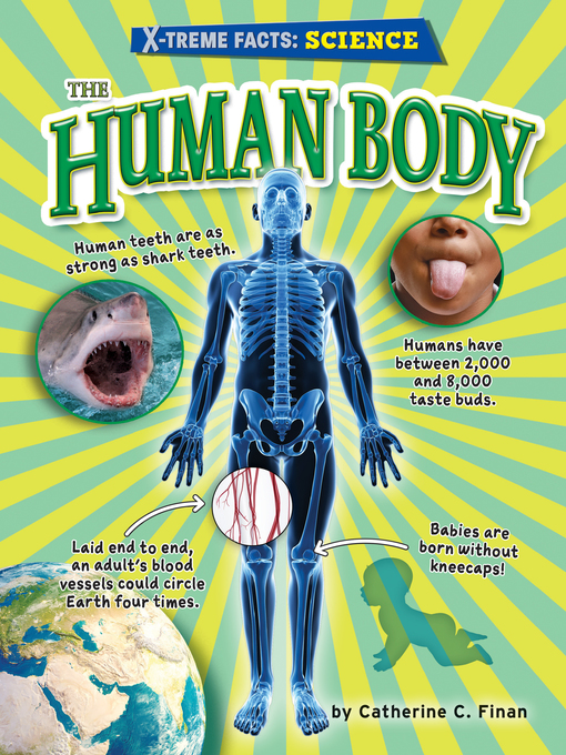 Title details for The Human Body by Catherine C. Finan - Available